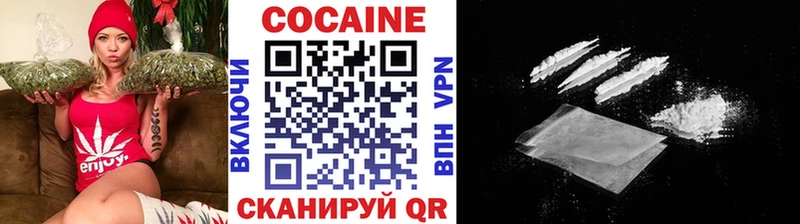 Купить  Кемерово  COCAIN FishScale 