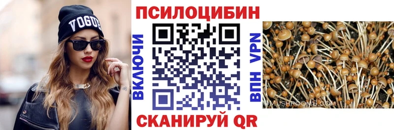 Купить где  Кемерово  Галлюциногенные грибы Cubensis 
